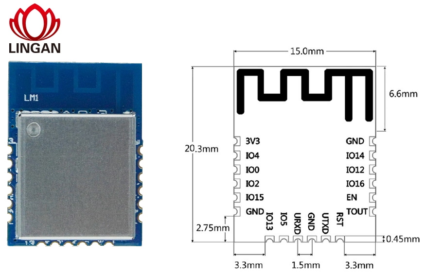 LM1 Pinout